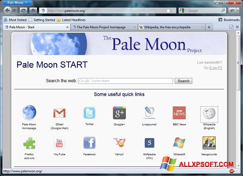 স্ক্রিনশট Pale Moon Windows XP