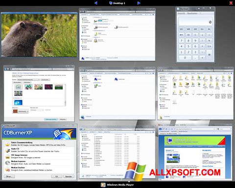 স্ক্রিনশট Dexpot Windows XP