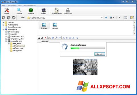 স্ক্রিনশট RS File Recovery Windows XP