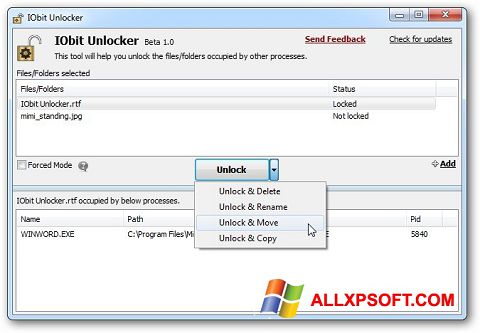 স্ক্রিনশট IObit Unlocker Windows XP